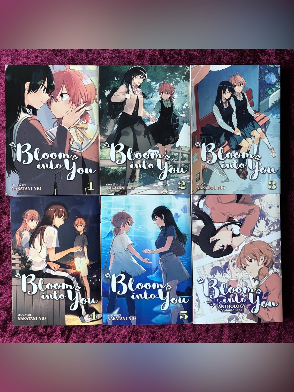 Bloom Into You Manga set